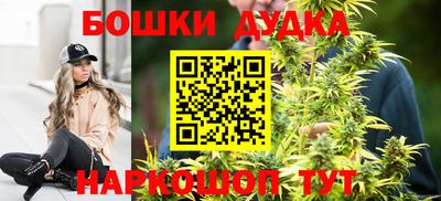 стафф Бийск